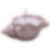 Свеча декоративная с подсвечником "Ракушка". Размер 10х6х4 см NEW