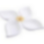 Менажница фарфор 4 секц 25х25х4 LR