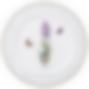 Тарелка закусочная 20,5 см