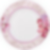 Тарелка обеденная 25,5 см