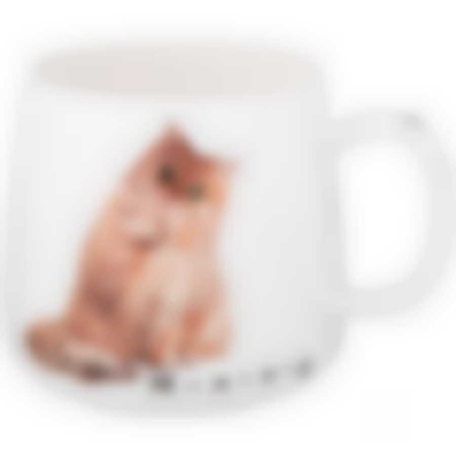 Кружка lefard Бери кота 400 мл