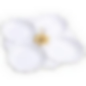 Менажница фарфор 4 секц 27х27х3,5 LR