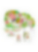 Набор столовый CARINA FREESIA 44пр