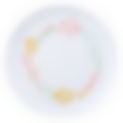 Тарелка обеденная DIWALI CONTENTO 27см