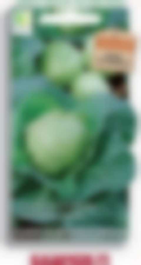 Капуста белокочанная Казачок F1 798997