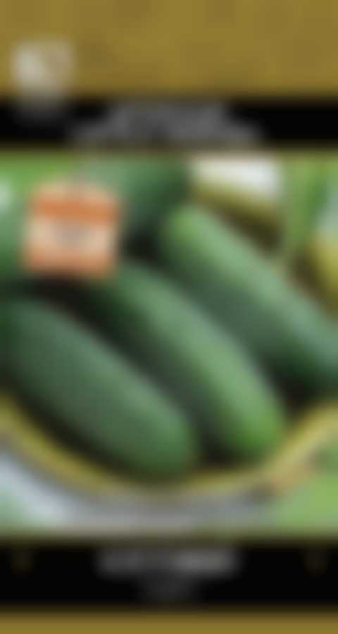 Огурец Кустовой (А) 400100