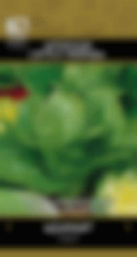 Салат Адамант (А) 707710