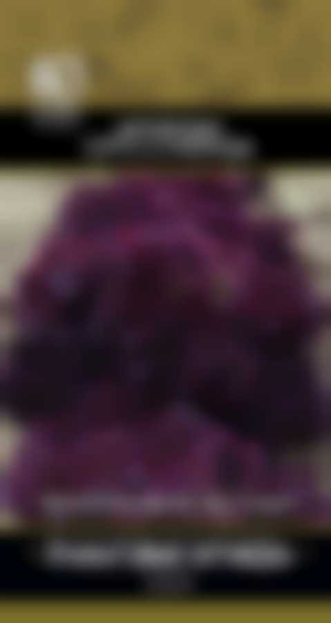 Салат Гранатовые кружева (А) 671125