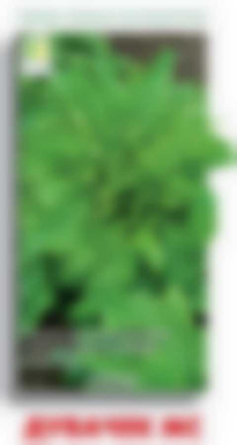 Салат Дубачек МС 470471