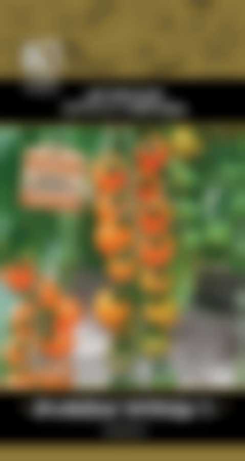 Томат Оранжевая гирлянда F1 (А) 799445