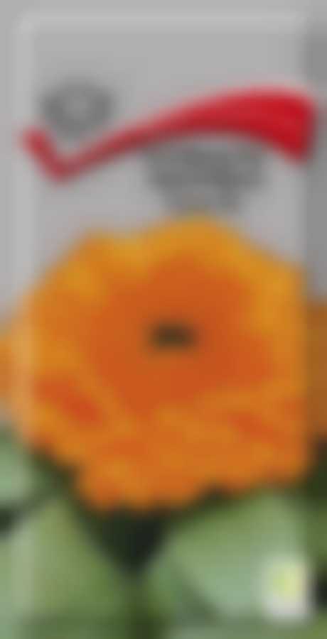 Календула махровая Гейша Гёл 270692