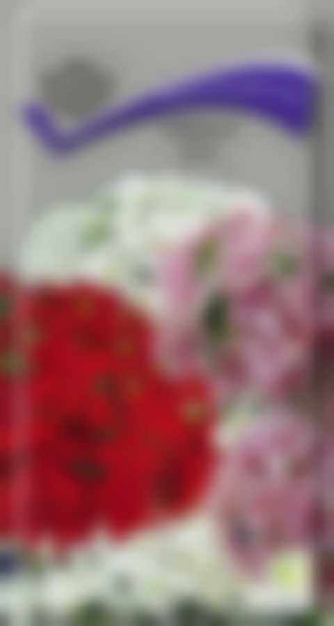 Лихнис Микс 350099