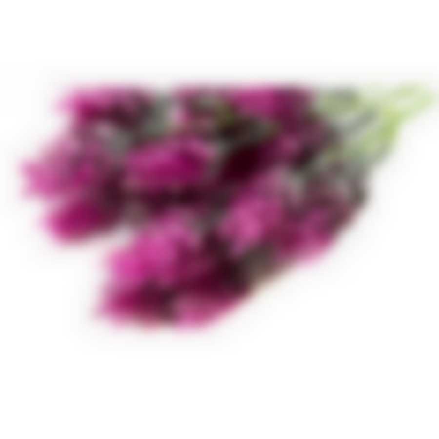 Цветок "Хмель"