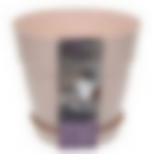 Горшок для цветов InGreen Villa de Fiori с фиксируемым поддоном 2л, D170мм, английская роза