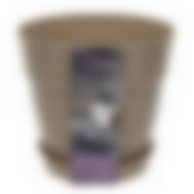 Горшок для цветов InGreen Villa de Fiori с фиксируемым поддоном 2л, D170мм, молочный шоколад