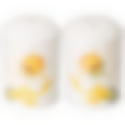 Набор для специй agness Sunday 2пр. 4,5*6,5 см 