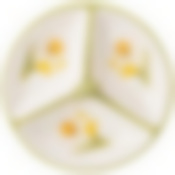 Менажница 3 секции agness Sunday 22*22*7,5 см 