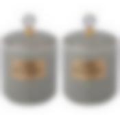 Набор банок с крышкой lefard Grain 2 шт. 12,5*8 см 250 мл мятный 