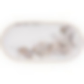 Блюдо овальное lefard Дракон 20,5 см 