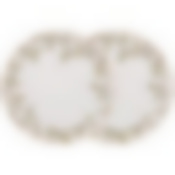 Набор тарелок обеденных lefard Березки 2 шт. 26 см 