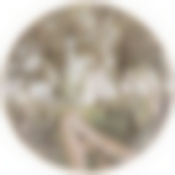 Тарелка закусочная lefard Березки 20,5 см 