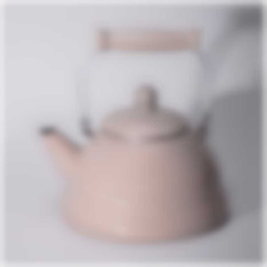 Чайник agness эмалированный серия Charm , 3,0л