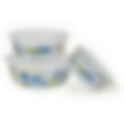 Набор мисок 3 предмета Горная лаванда пластиковые крышки, 1DM47PL