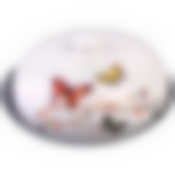 Блюдо для блинов с крышкой 23,8х23,8х9,7см 2пр. "Бабочки в саду" LR