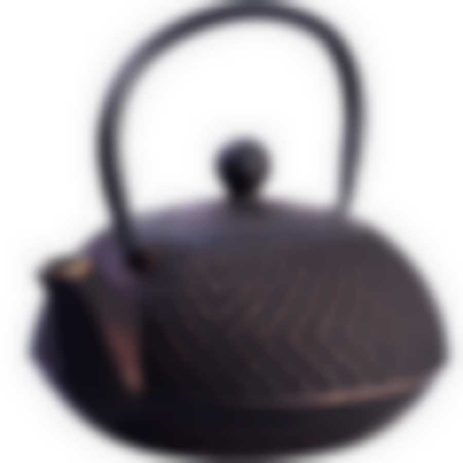 Чайник заварочный с крышкой с фильтром 900мл 3пр чугун MB