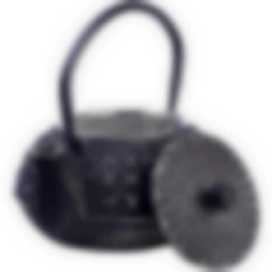 Чайник заварочный с крышкой с фильтром 640мл 3пр чугун MB