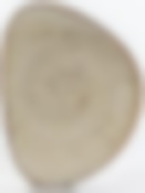 ХОРЕКА ГРАФИТ, тарелка мелкая 260х200мм