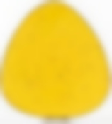 ХОРЕКА ДЫНЯ, тарелка мелкая 270х250мм