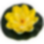 Фигурка прудовая  "Кувшинка" FF-041