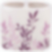 Держатель для зубных щеток  "Полынь" TBH-POL, керамика