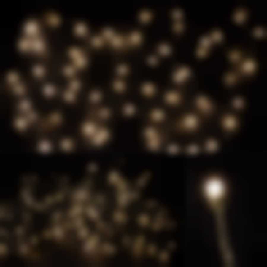Электрогирлянда светодиодная LED160-10-WW