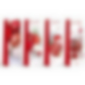 Пакет подарочный для бутылки "Праздник"