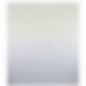 Занавеска для ванной комнаты "Листья", полиэстер, 180*160 см