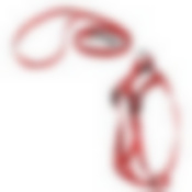 Шлейка с поводком, ширина 1 см, размер S - 24-34 см