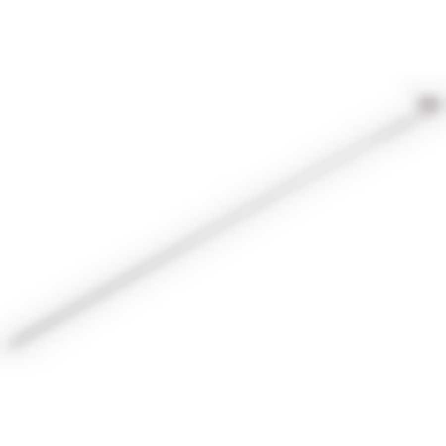 Шампур ECOS 610*10*1,5мм, плоский, с витком, 1шт.