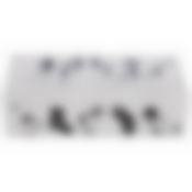 Коробка для белья PSB-02/6-P, 6 ячеек, пластик, с принтом, 30*15*7см