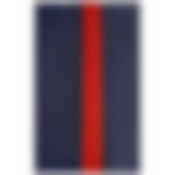 Чехол для одежды подвесной GCP-60*100