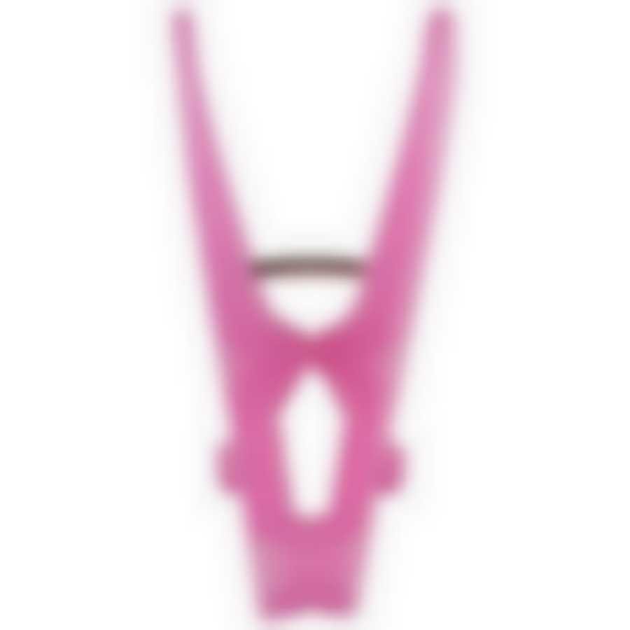 Прищепки для белья пластиковые PEG-P-S/24 в наборе 24 шт. (пластик,металл)