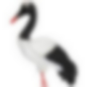 Фигурка садовая "Журавль" Н-60 см