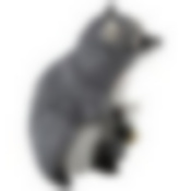 Фигурка садовая "Енот с рыбой" H-35см