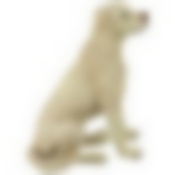 Фигурка садовая "Лабрадор" H-70 см