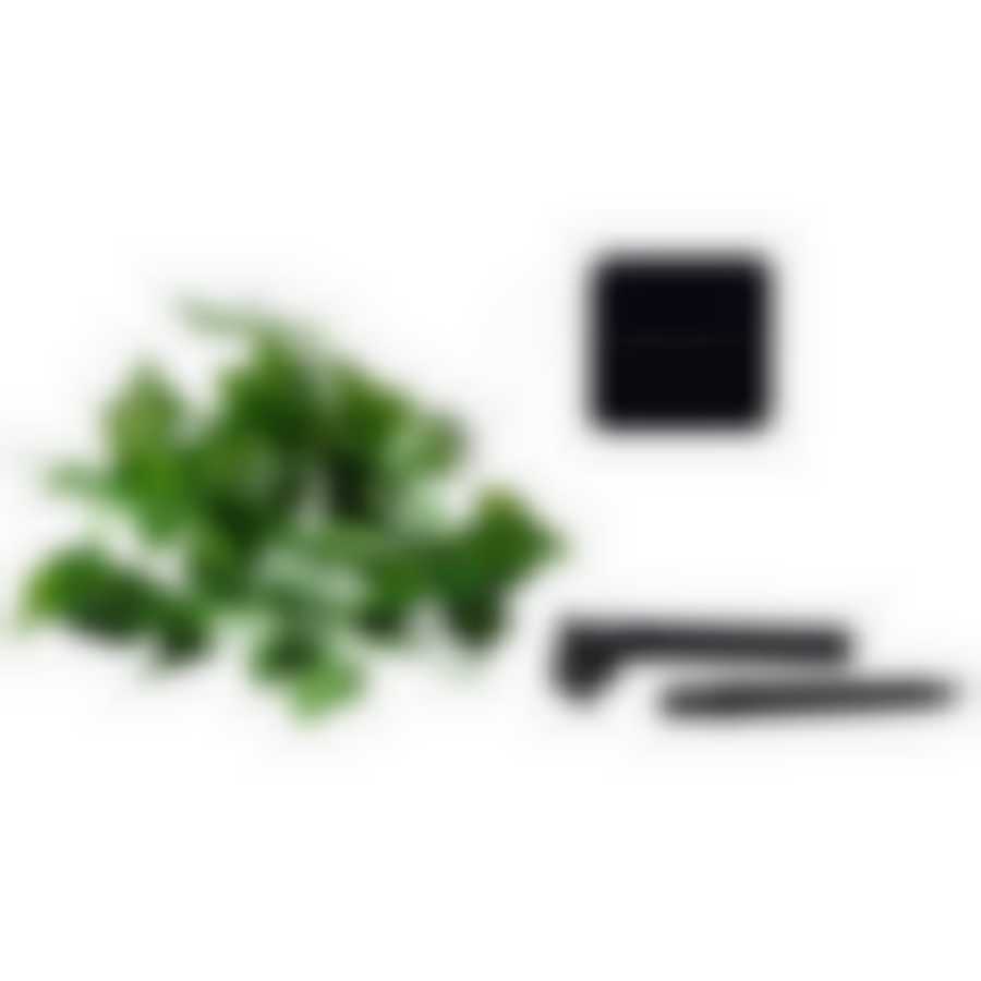 Гирлянда садовая на солнечной батарее "Плющ" 20 лампочек