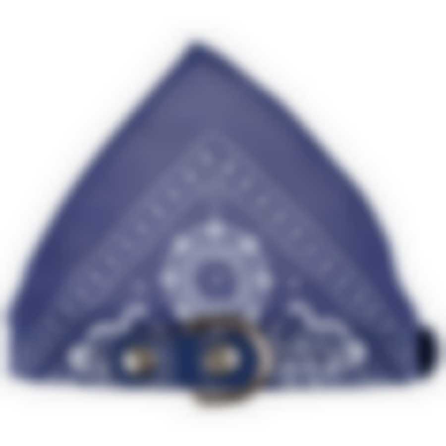 Ошейник с платком