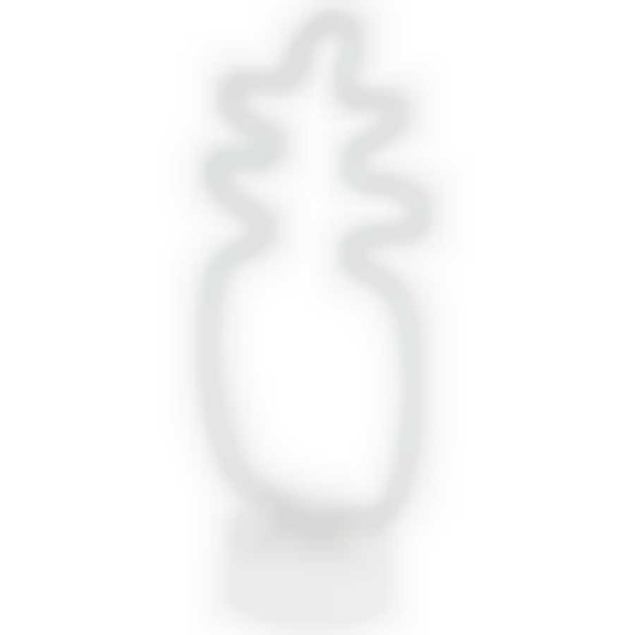 Светильник неоновый Energy EN-NL 16