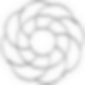 Подставка под горячее CARNALE, диам. 21 см (хром.металл)