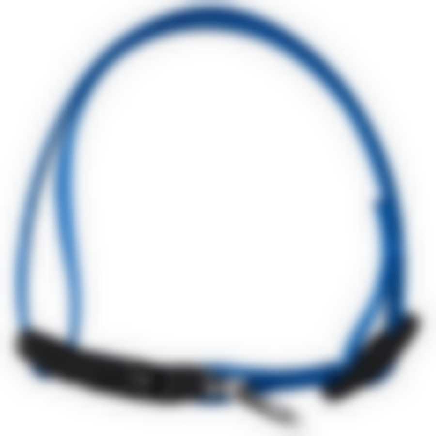 Ошейник с застежкой, размер М, 33-40 см